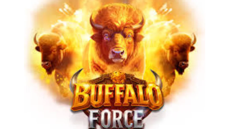 Buffalo Force v Casinolab